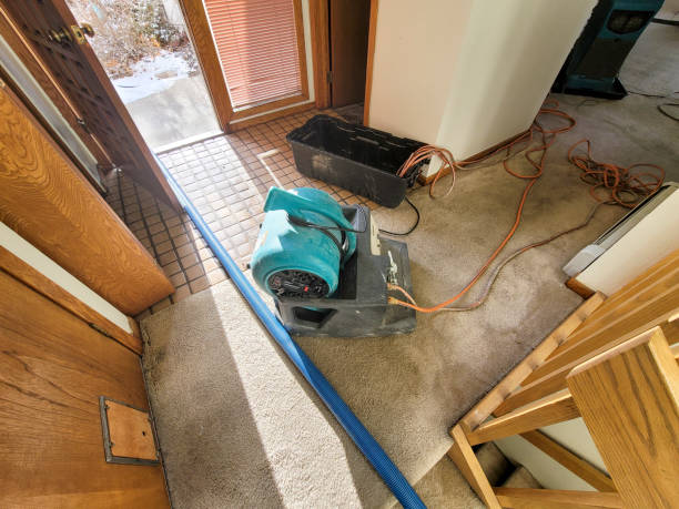 Best Commercial water damage restoration  in Bellwood, PA