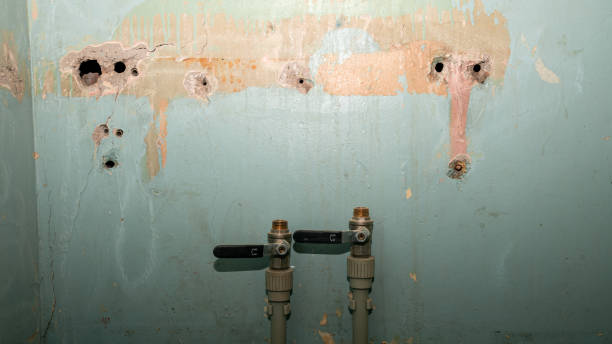 Best Local water damage restoration  in Bellwood, PA