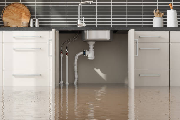 Best 24-hour water damage restoration  in Bellwood, PA