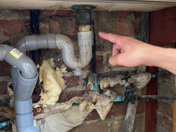 Best Basement water damage restoration  in Bellwood, PA