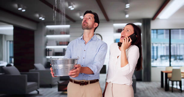 Water damage restoration insurance claims in Bellwood, PA